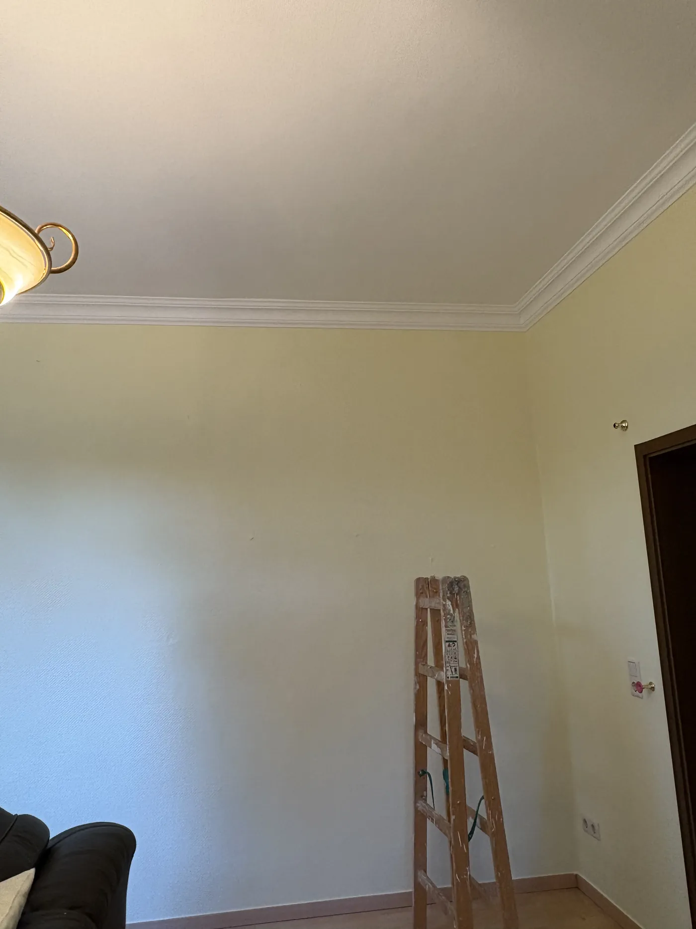 Wohnraum mit Stuckleisten und Akzentwand